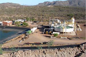 Manganese ore processing plant